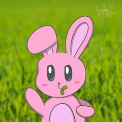 YT_AkdongRabbit